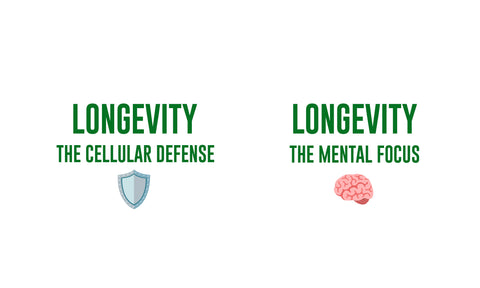 The Longevity : אתיופיה & קוסטה ריקה